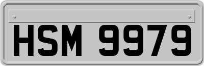 HSM9979