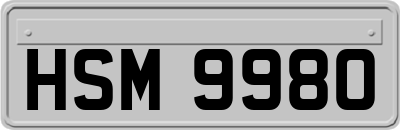 HSM9980