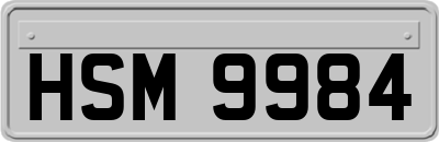 HSM9984