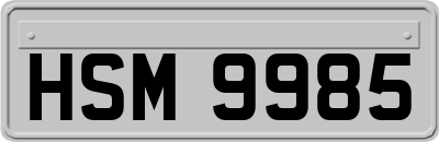 HSM9985