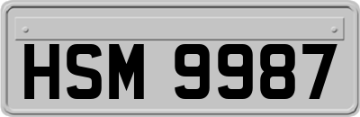 HSM9987
