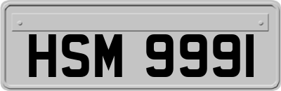 HSM9991