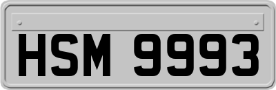 HSM9993