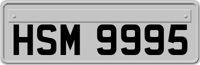 HSM9995