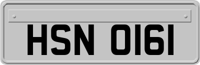 HSN0161