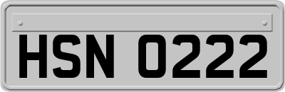 HSN0222