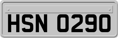 HSN0290
