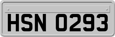 HSN0293