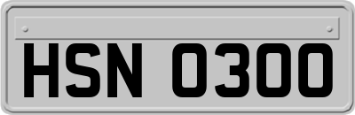 HSN0300