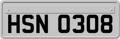 HSN0308