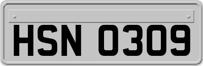 HSN0309