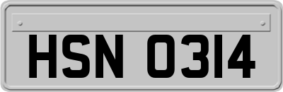HSN0314