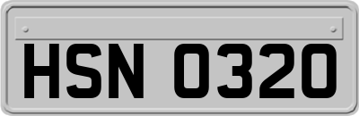 HSN0320
