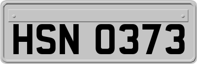 HSN0373