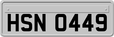 HSN0449