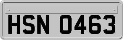 HSN0463