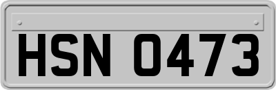 HSN0473