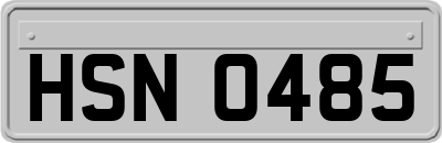 HSN0485