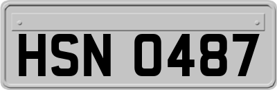 HSN0487