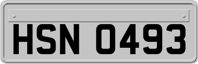 HSN0493