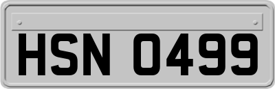HSN0499
