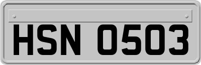 HSN0503