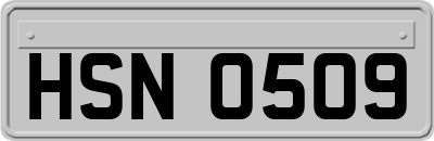 HSN0509