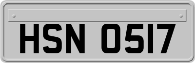 HSN0517