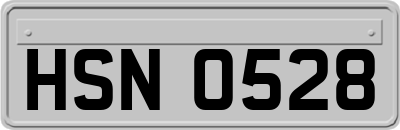HSN0528