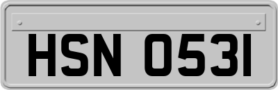 HSN0531
