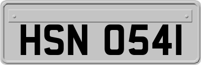 HSN0541