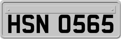 HSN0565