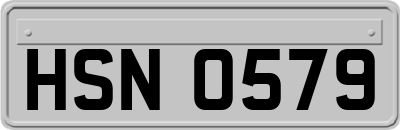 HSN0579