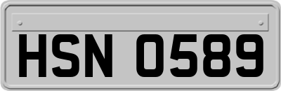 HSN0589
