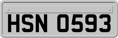HSN0593