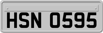 HSN0595