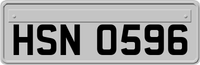 HSN0596