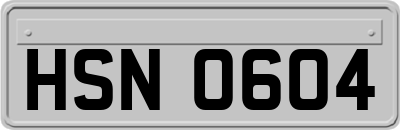 HSN0604