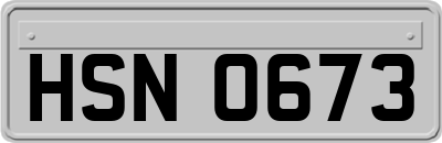 HSN0673