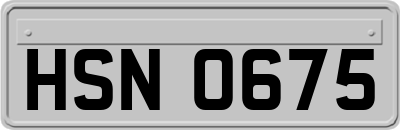 HSN0675