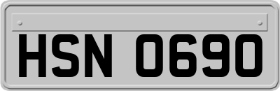 HSN0690