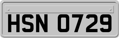 HSN0729