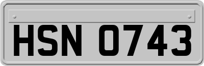 HSN0743
