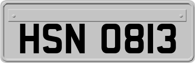 HSN0813