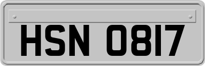 HSN0817
