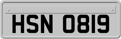 HSN0819