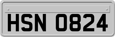 HSN0824