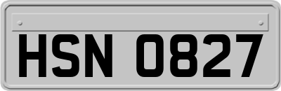 HSN0827