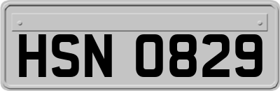 HSN0829