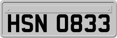 HSN0833